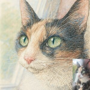 Colour Pencil Sketch Pet Portrait